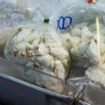 Understanding Crab Meat