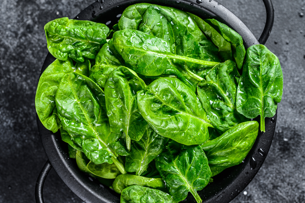 Spinach vs Lettuce Fanatically Food