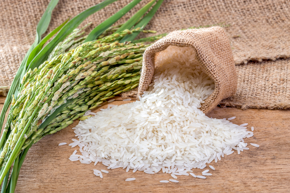 How Many Grains of Rice Are in a Serving? Fanatically Food