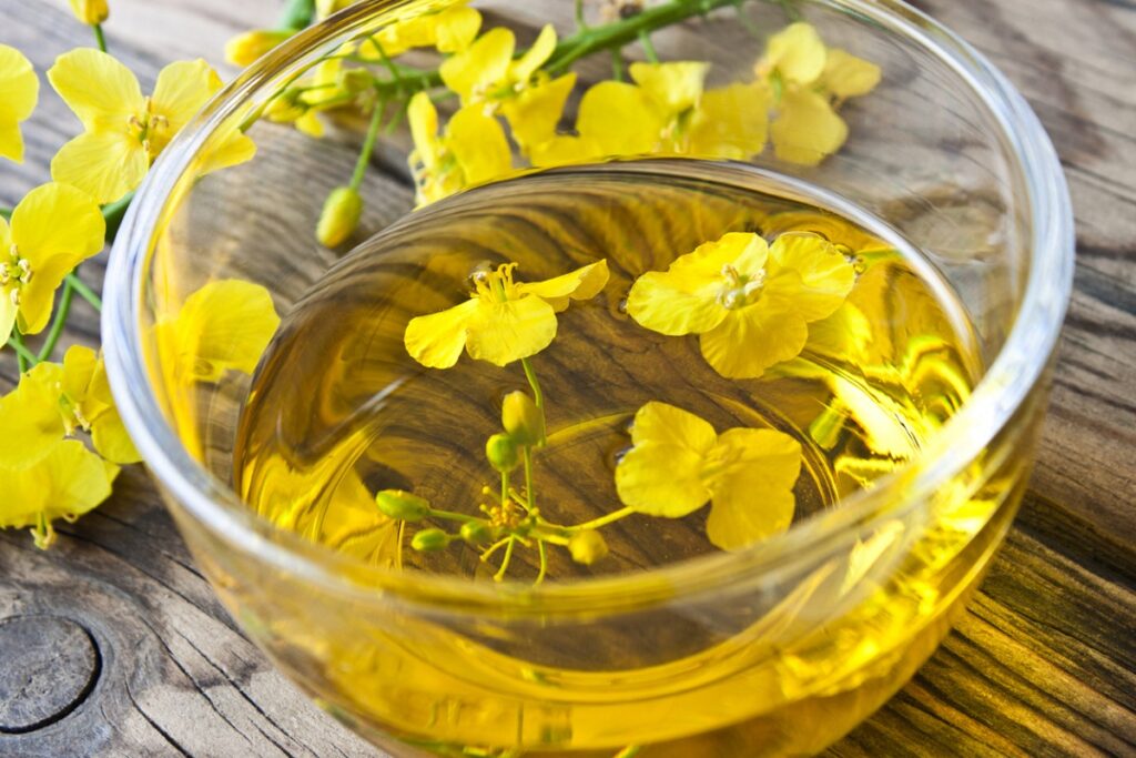 Canola Oil as a Substitute