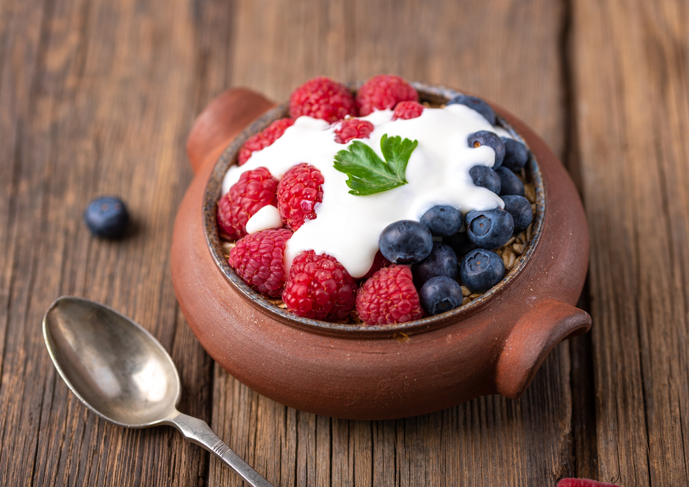 Factors Affecting the Shelf Life of Homemade Yogurt