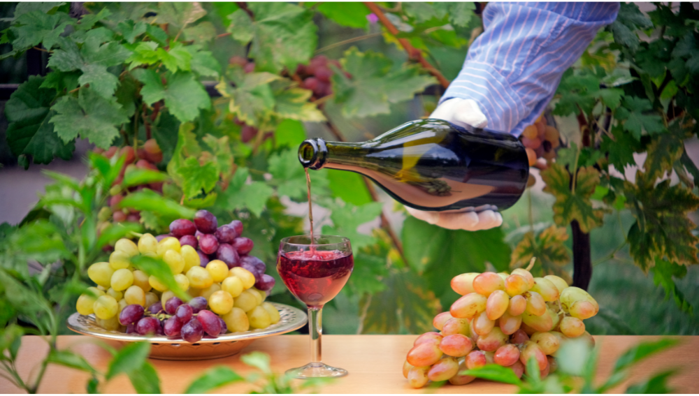 The Role of Grapes in Wine Taste
