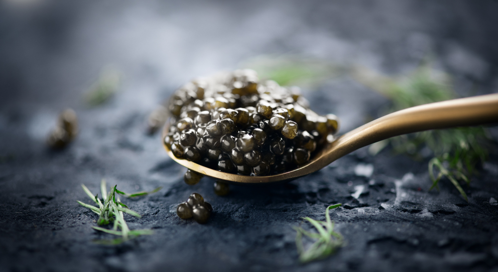 Understanding Caviar