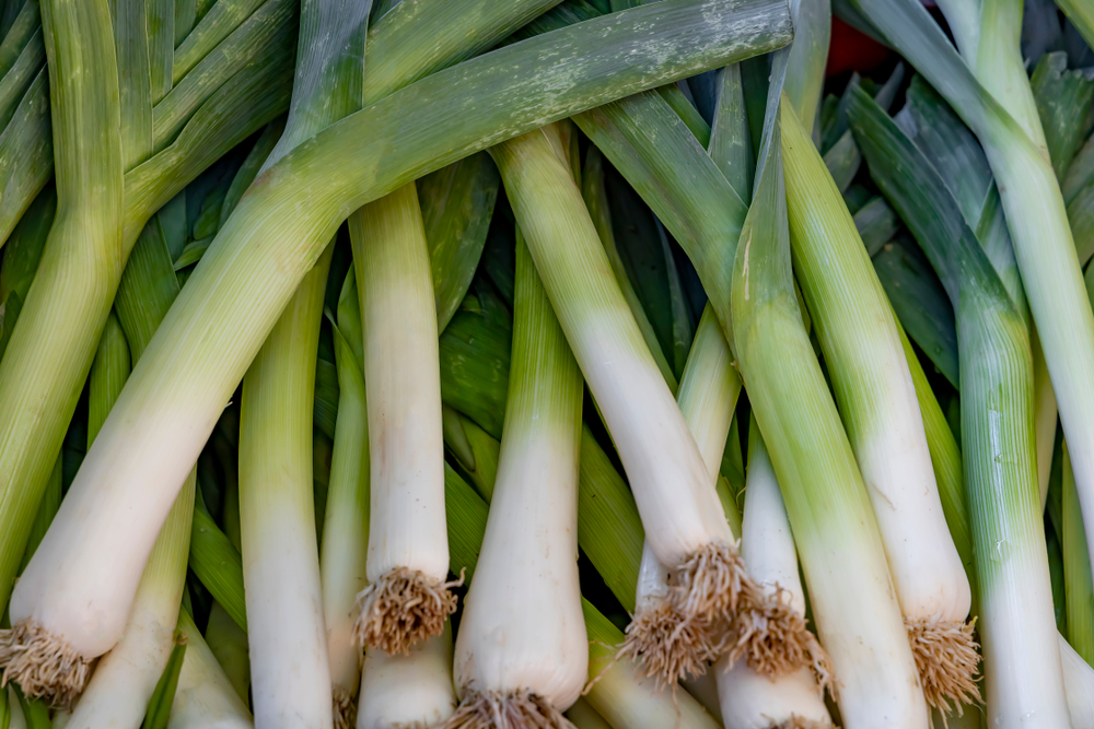 12 Substitute For Leeks In Soup The Complete List Fanatically Food