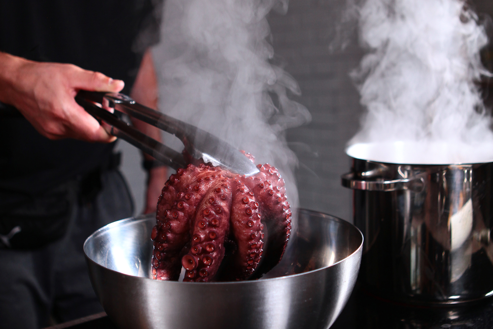 Boiled,Octopus,Is,Taken,Out,Of,The,Pan.,The,Whole