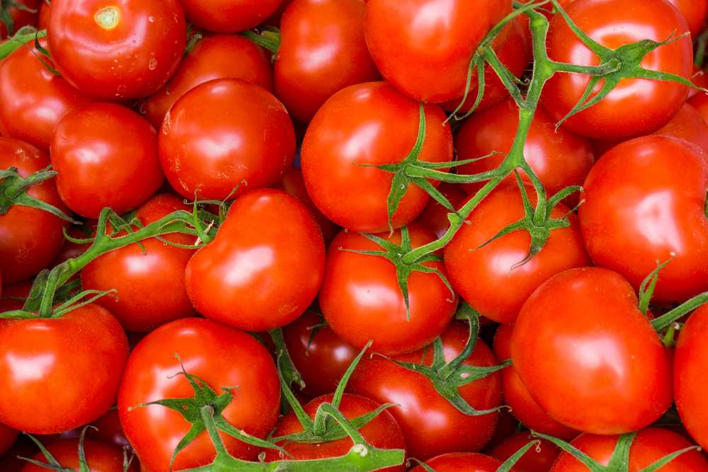 Red,Tomatoes,Background.,Group,Of,Tomatoes