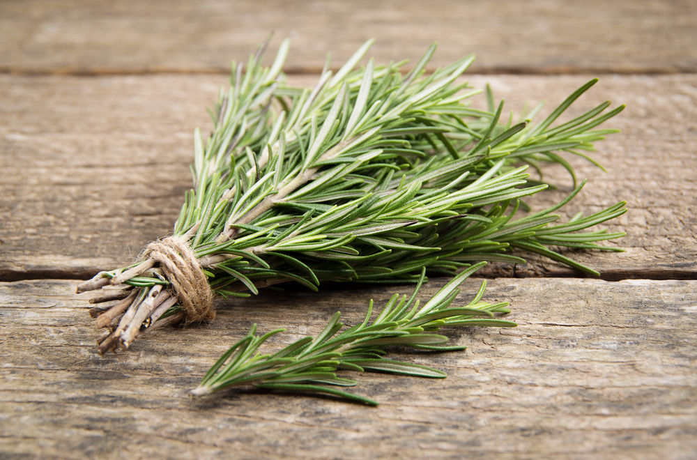 What Does Rosemary Taste Like? - Fanatically Food