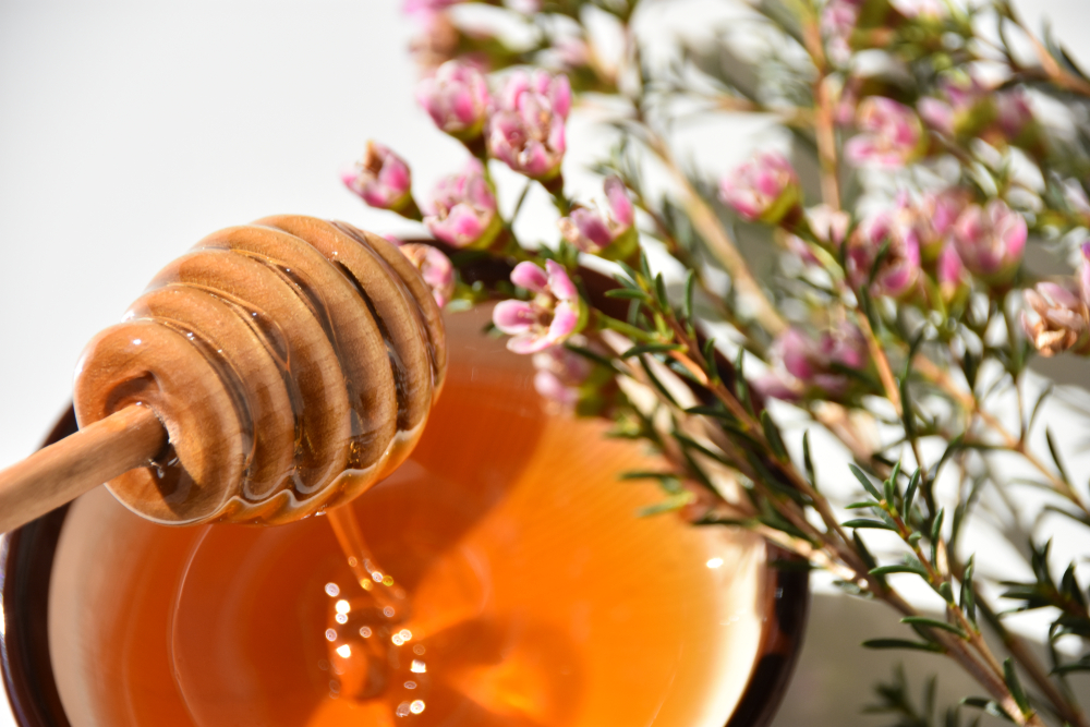 Close,Up,Of,Manuka,Tree,Flower,Honey,And,Dipper,In