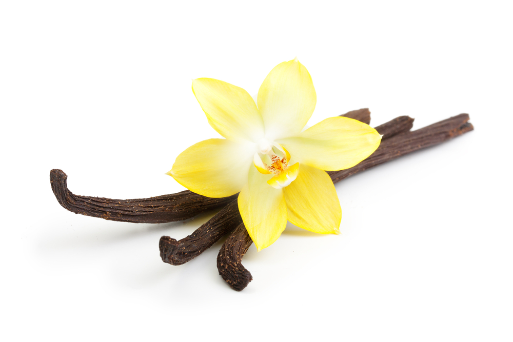 Vanilla,Pods,And,Orchid,Flowers,Isolated,On,White,Background