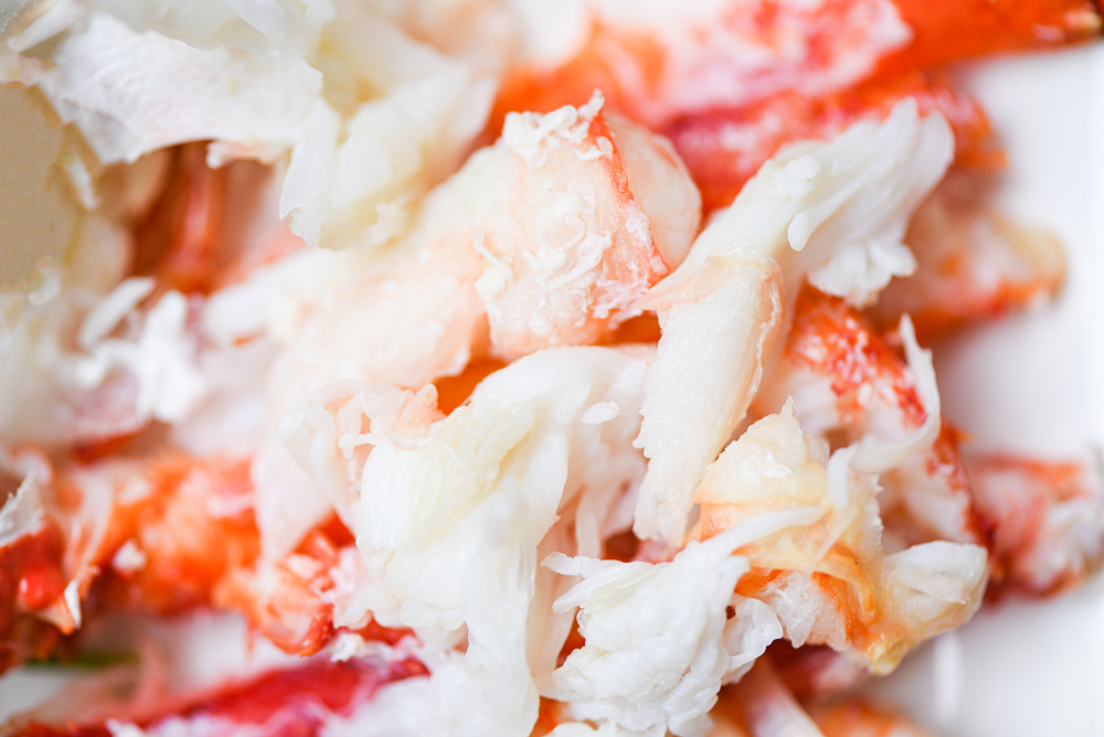 Alaskan,Crab,Meat,On,White,Plate,For,Cooked,Seafood,/