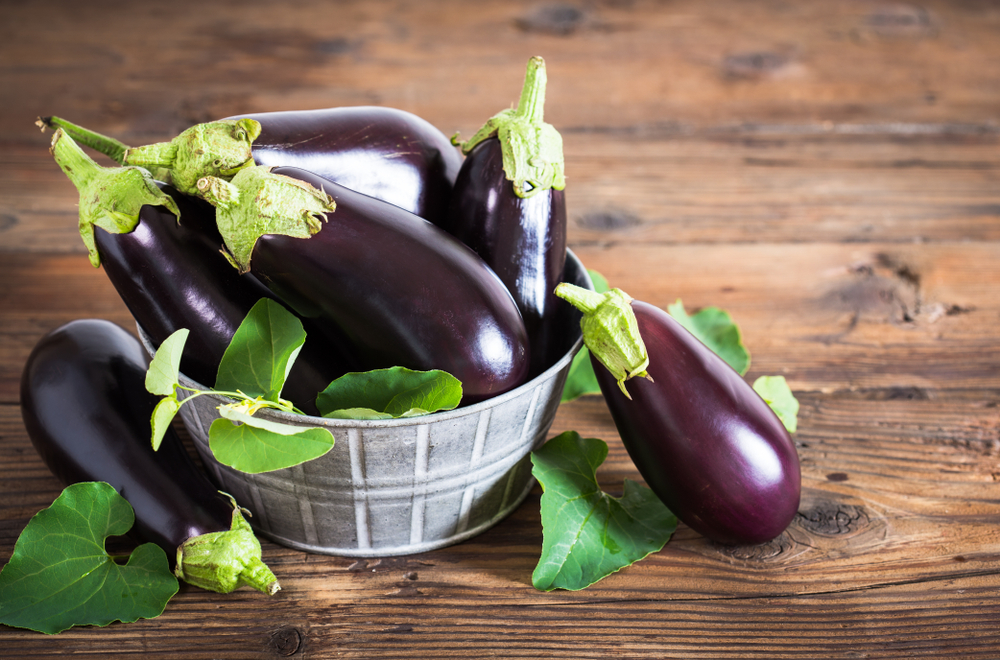Understanding Eggplant