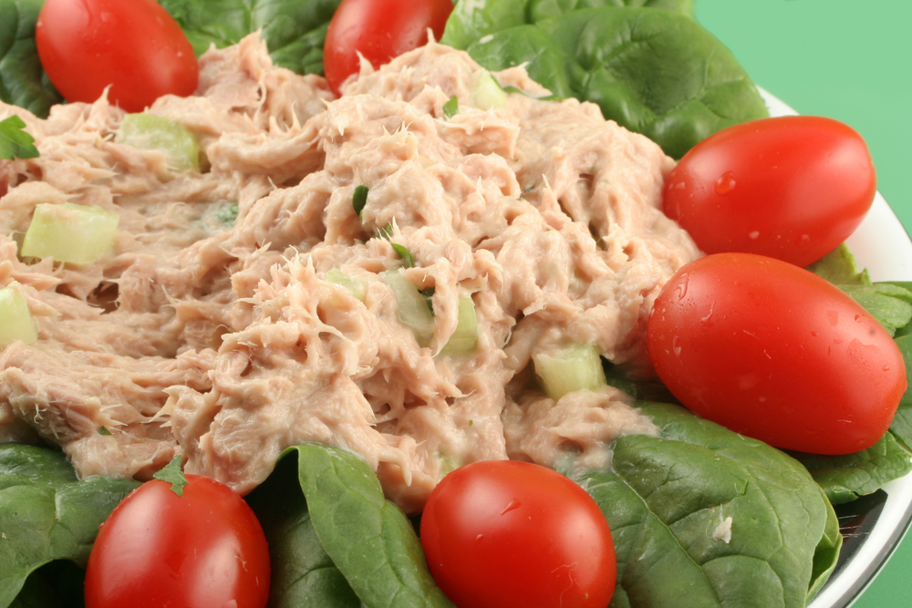 can you freeze tuna fish salad