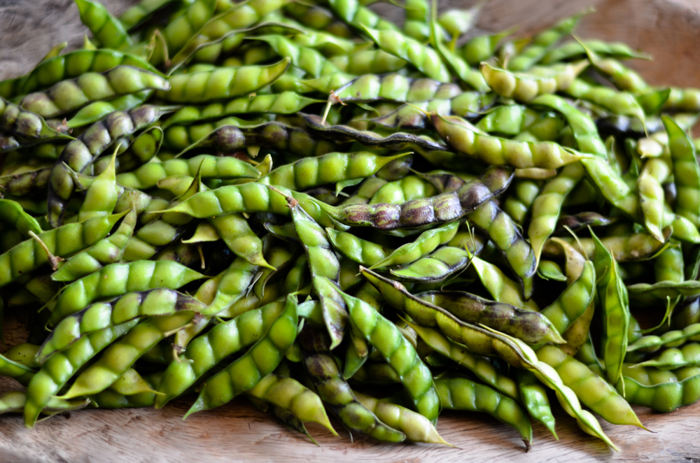 Fresh,Harvested,Pigeon,Peas,Ready,To,Be,Threshed
