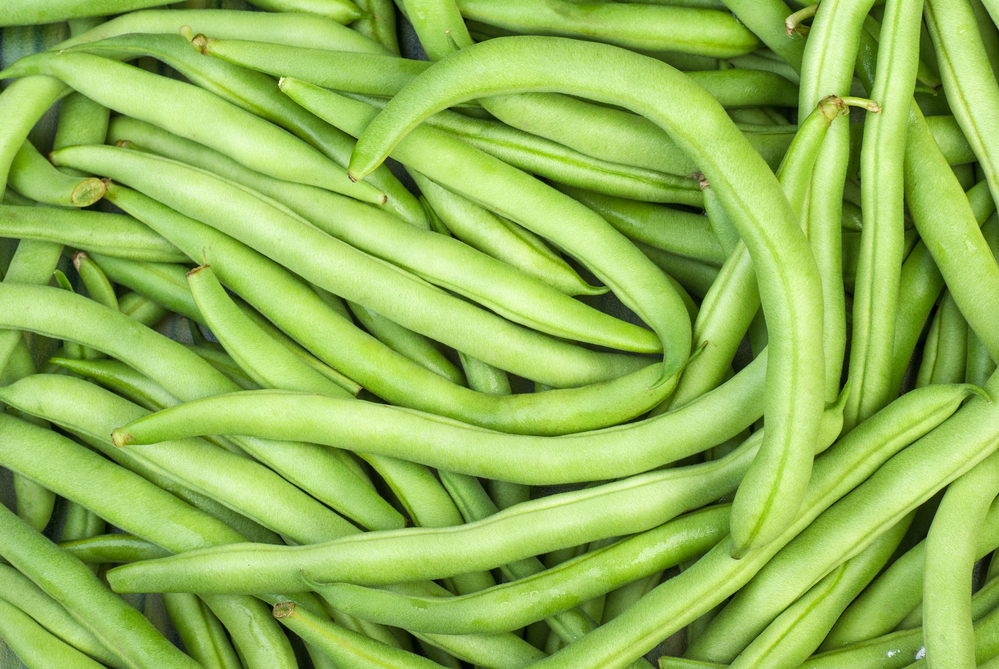 Abstract background: green wax beans