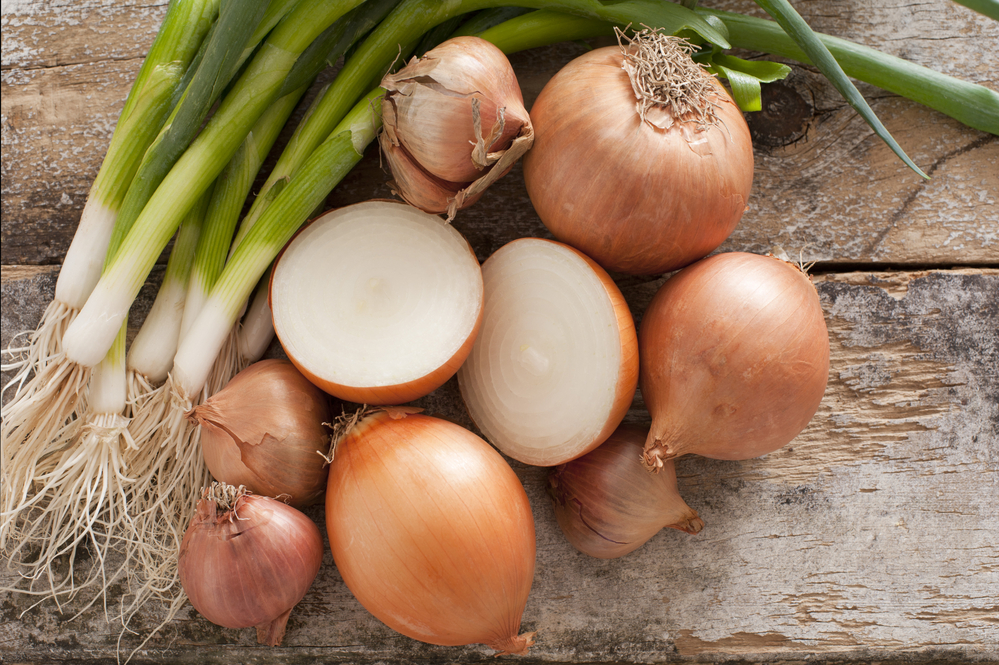 Assorted farm fresh onions on a rustic table