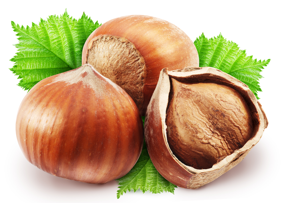 Hazelnuts with leaves on a white background. Clipping path.