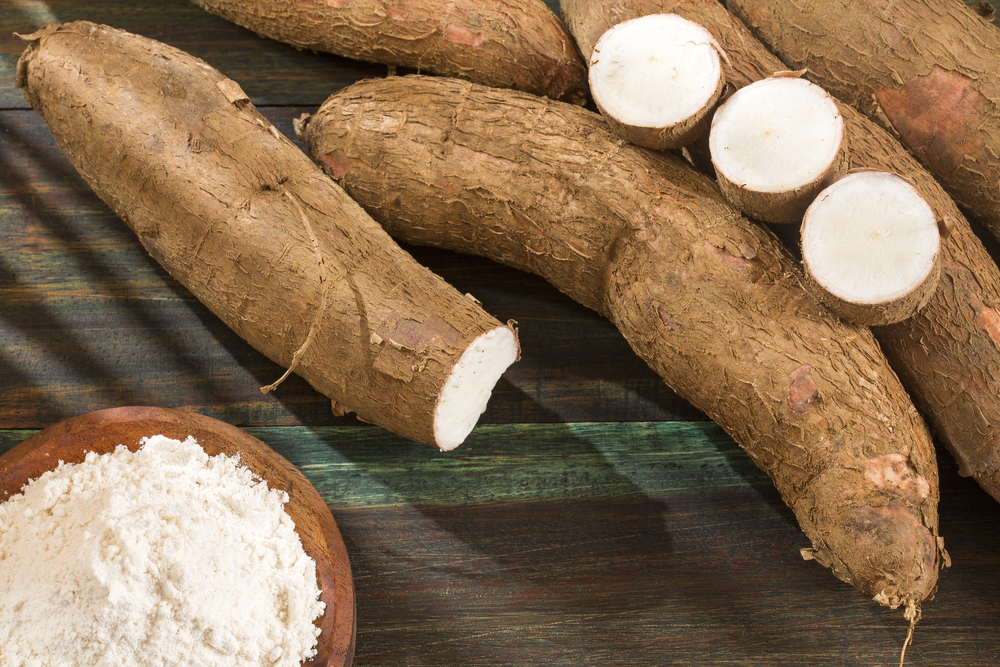 Raw cassava starch – Manihot esculenta. Wooden background