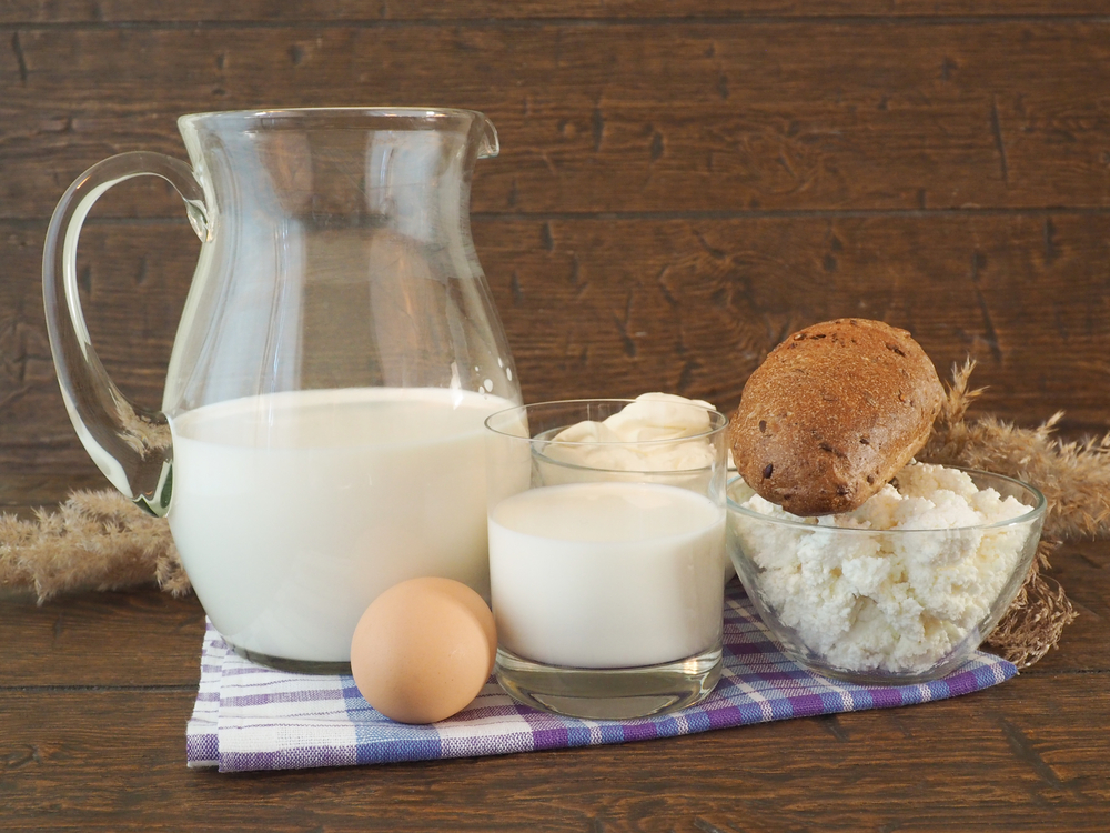 Sour cream, milk, cheese, egg, yogurt   on wooden  background