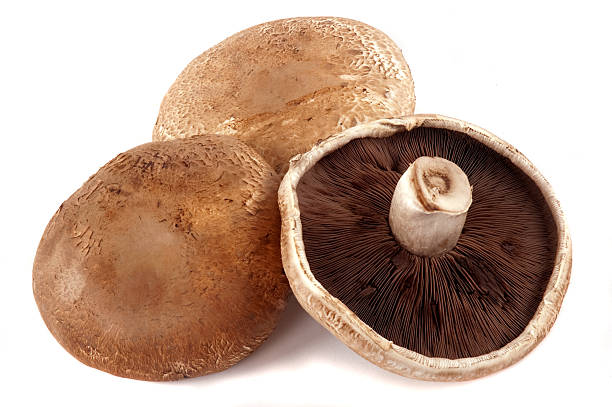 Portobello Mushrooms as a Substitute