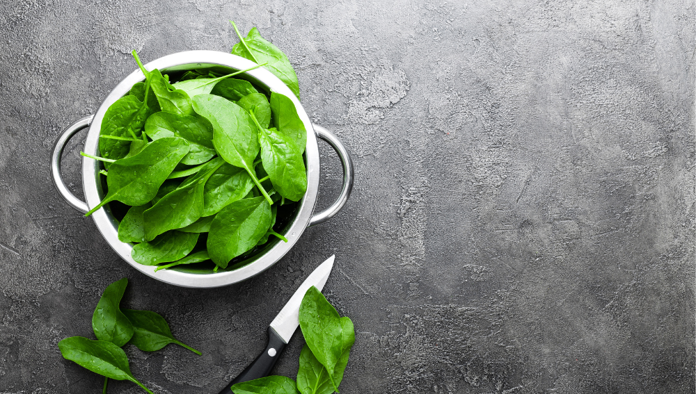 Understanding Spinach