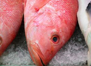 redfish taste