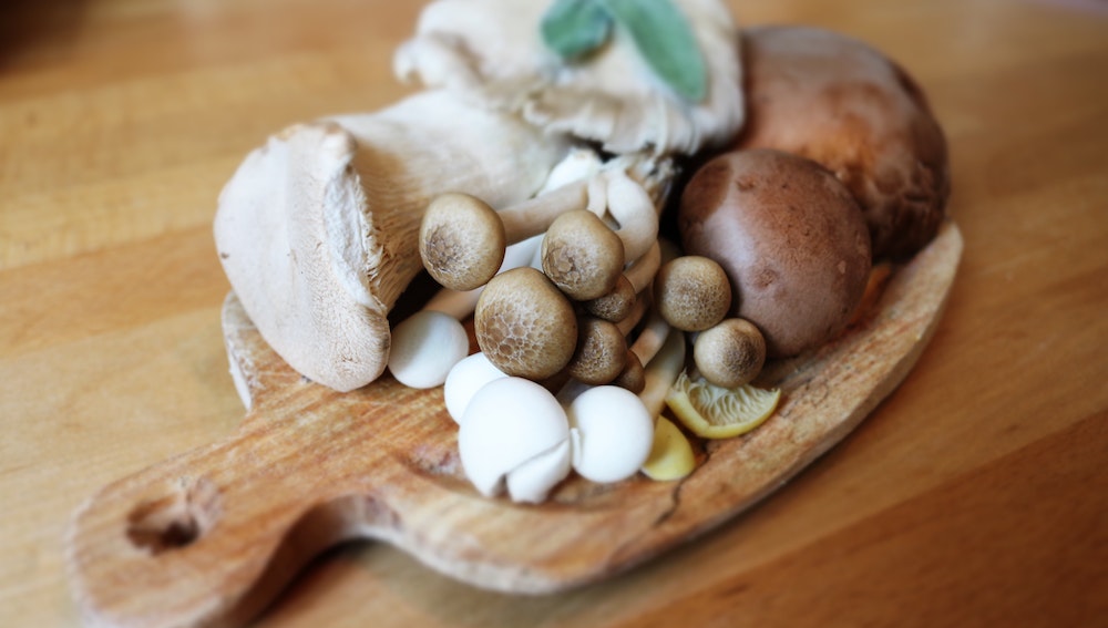 Understanding Mushroom and Its Varieties
