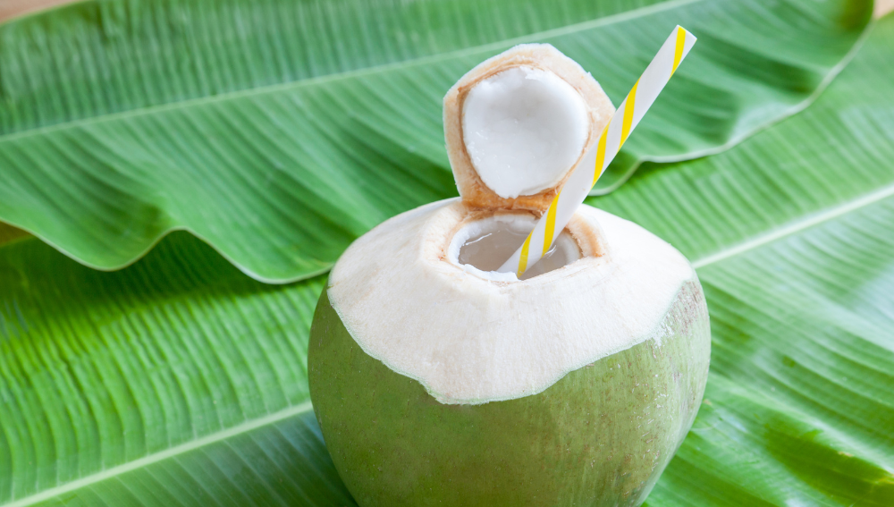 Understanding Coconut Water