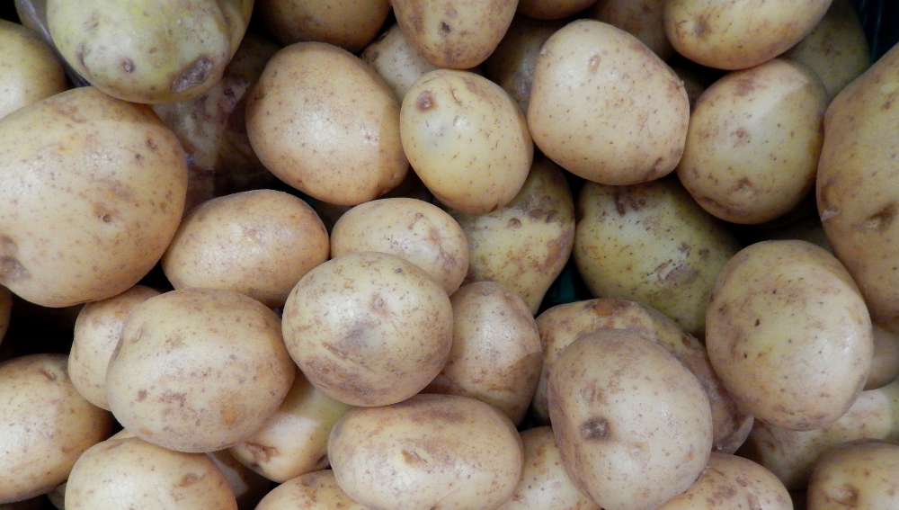 Understanding Maris Piper Potatoes