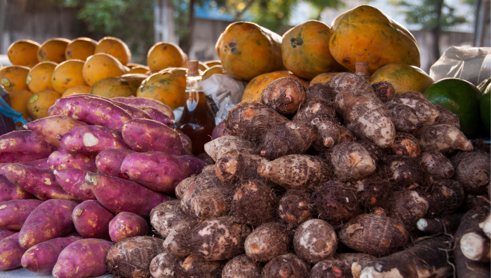 Availability and Purchase of Taro